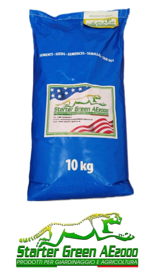 Seme prato americano rigenerazione Blue Top Overseeding  10kg