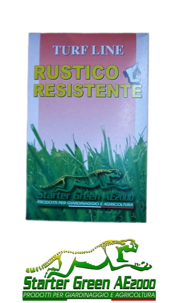 Seme prato rustico e resistente   1 kg