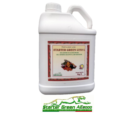 Alghe brune liquide Starter  Green Cito l    5 kg