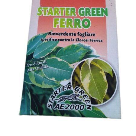 Rinverdente concime  Starter Green  Ferro 1Kg