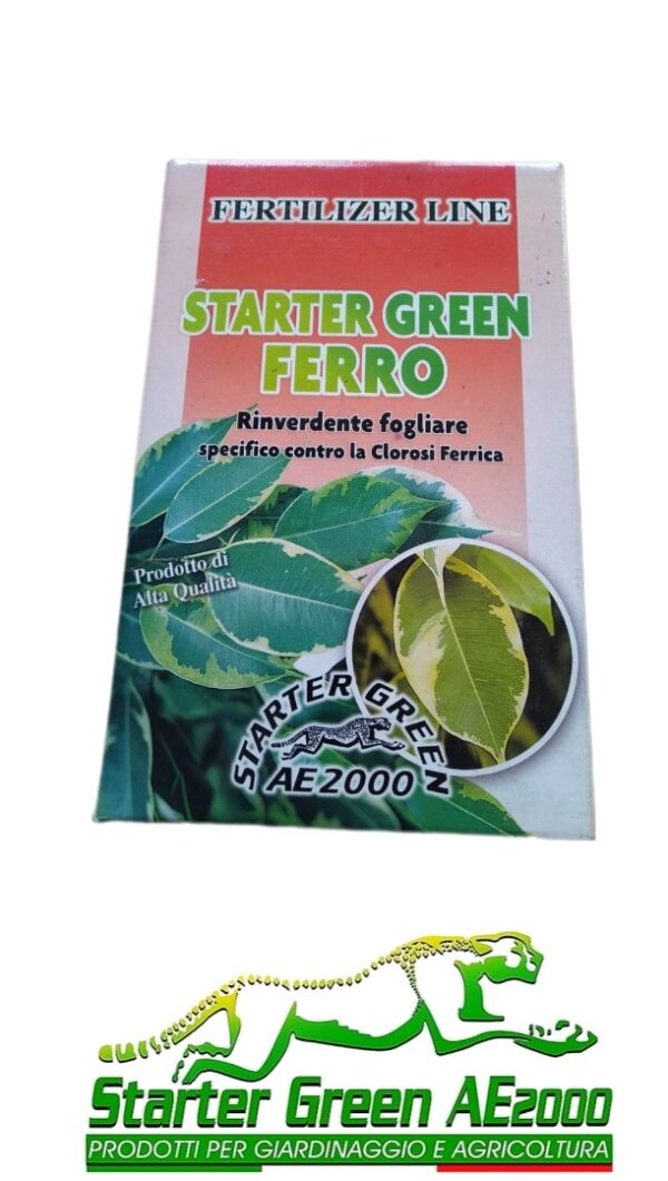 Rinverdente concime  Starter Green  Ferro 1Kg