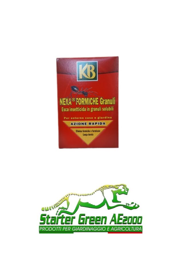 Formiche  Nexa  granuli  800gr