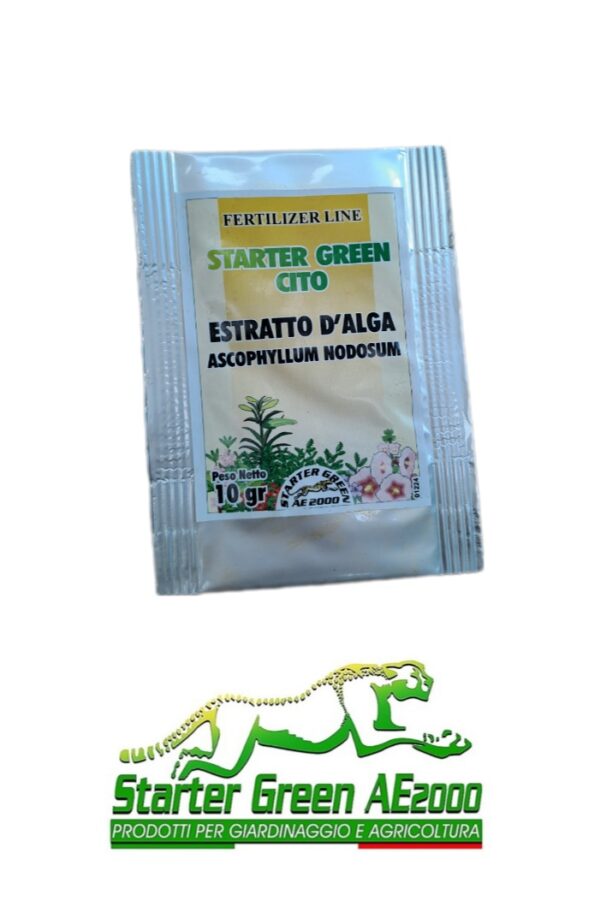 Alghe brune polvere  bustina Starter Green Cito   - 10gr